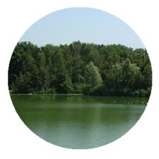 Faible grossissement Faible grossissement