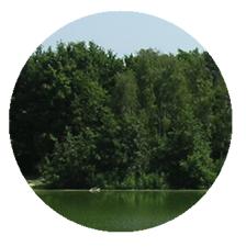 Fort grossissement Fort grossissement