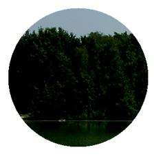 Mauvaise luminosité Mauvaise luminosité